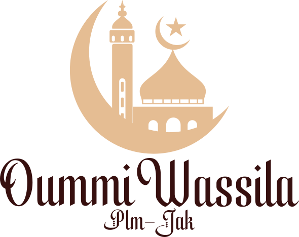 OUMMI WASSILA PLM-JAK